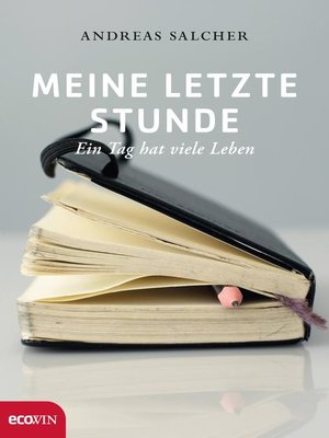 cover image of Meine letzte Stunde